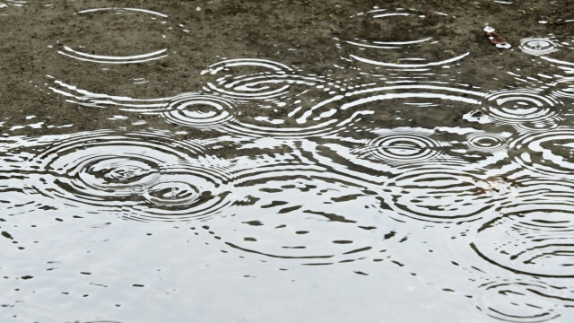 小雨が降る様子