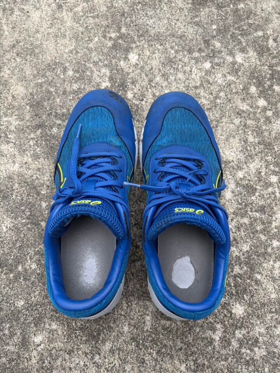 購入後12ヶ月履いたアシックスの安全靴